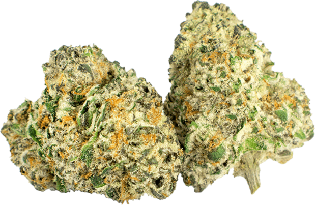 Grape Bubblegum