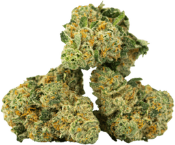 Sour OG
