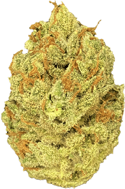 Chocolope image 1